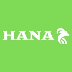 Hanastore